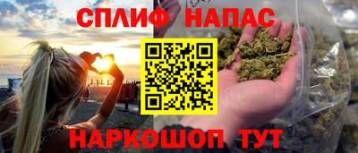 прущие грибы Комсомольск-на-Амуре